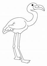 Flamingo Coloring Pink Pages Getdrawings sketch template