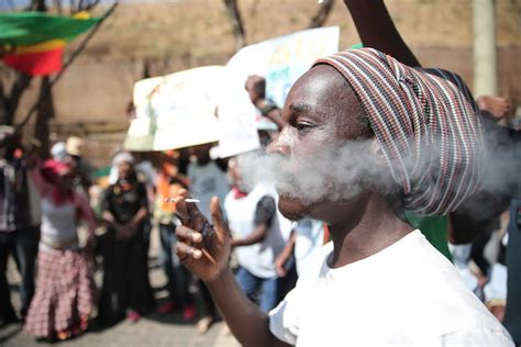 In Pics High Time For Dagga Smokers As Court Legalises Private Use Of