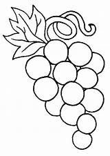 Coloring Grape Vine Getcolorings Grapes sketch template