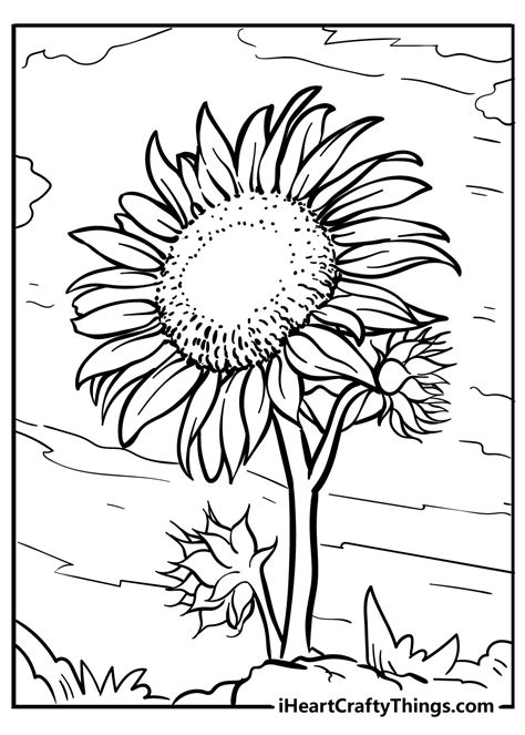 big sunflower coloring page