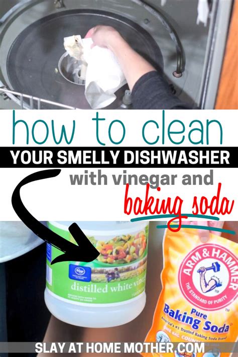 clean  smelly dishwasher   baking soda drain cleaner