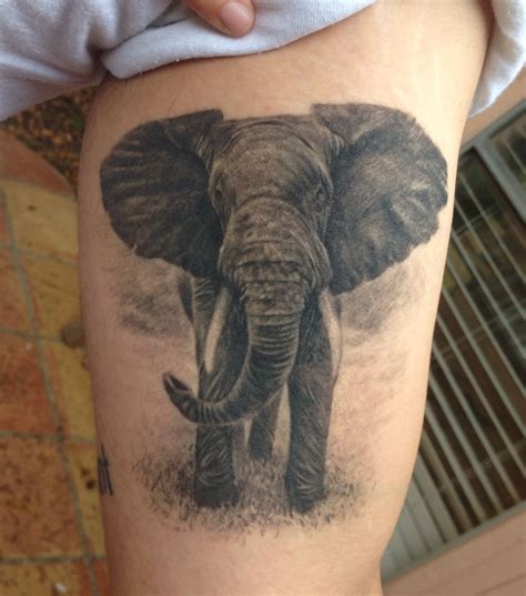 14 best elephants images elephant tattoos elephant tattoo kulturaupice