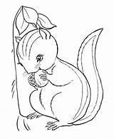 Coloring Chipmunk Chipmunks Kleurplaten Dale Squirrels Squirrel Kleurplaat Webstockreview Colorings Honkingdonkey sketch template