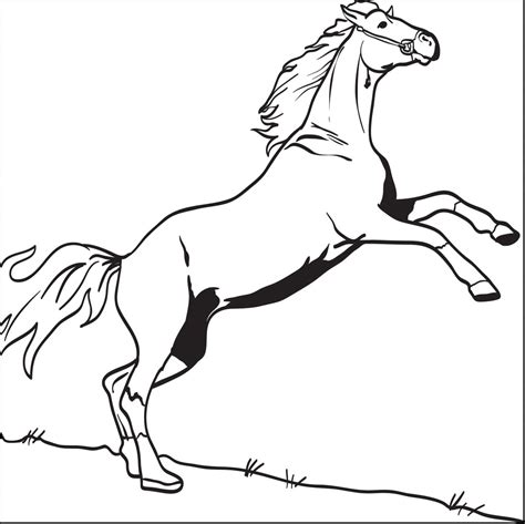 realistic coloring pages  horses realistic coloring pages top