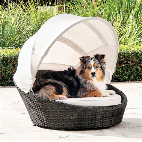 luxurious outdoor dog bed  canopy  green head