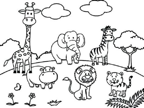 cute wildlife coloring pages zoo animal coloring pages zoo coloring