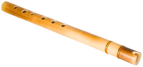 flute sri veenavani