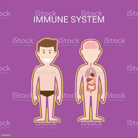 Immune System Illustration With Cartoon Human Man Body