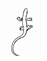 Lizard Printable Coloring Pages Color Tattoo Outline Simple Colouring Gecko Kids Reptile Clipart Print Crawling Flying Library Getcolorings Tattooimages Biz sketch template