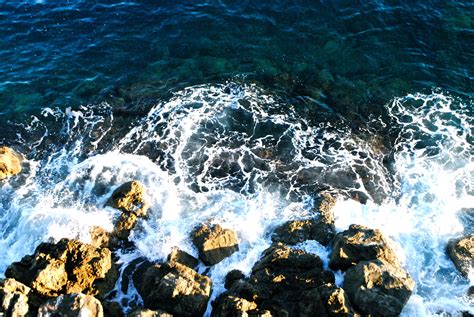 ocean meets land places   ocean adventure