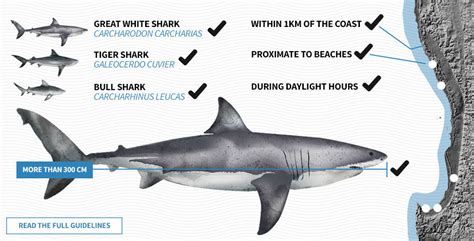 high hazard  western australia developed  world leading shark