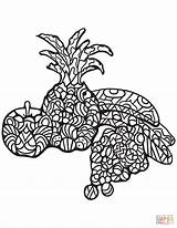 Coloring Apple Pineapple Zentangle Pages Grape Bananas Printable Fruits Paper Adults Supercoloring sketch template