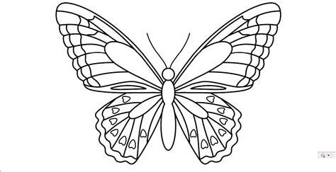butterfly butterfly coloring page butterfly printable template