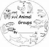 Animal Groups Animals Coloring Pages Printable Science Books Book Enchantedlearning Classification Worksheets Print Teaching Cover Activities Kids Projects Early Readers sketch template