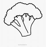 Lineart Colorare Broccolo sketch template
