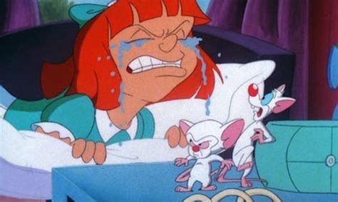 13 Fun Facts About Pinky And The Brain Mental Floss