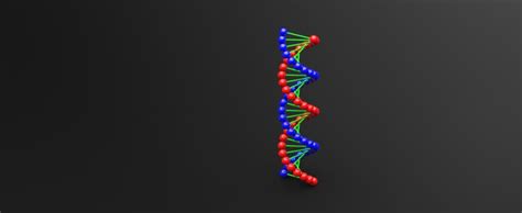 structure  function  nucleic acid matob