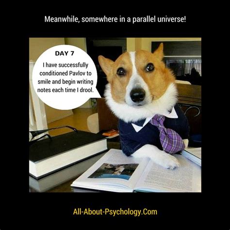 133 Best Images About Psychology Memes On Pinterest
