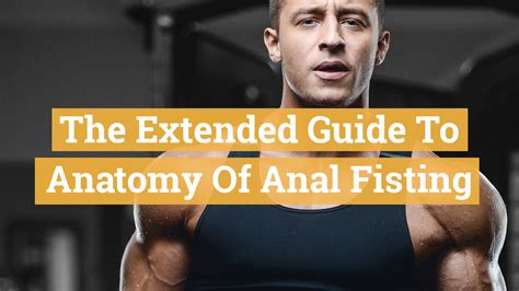 The Extended Guide To Anatomy Of Anal Fisting Boost Your Fisting