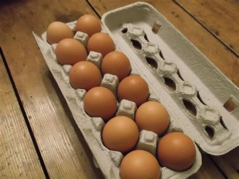 cca dozen pastured eggs  nourished epicurean
