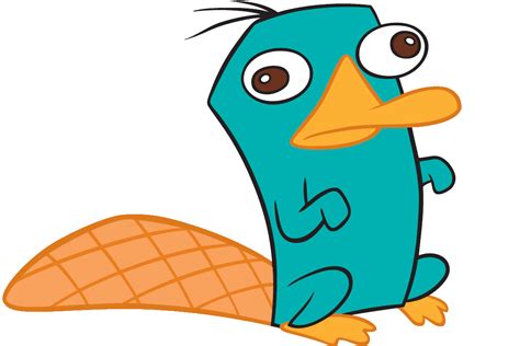 adorable perry  platypus photo  fanpop