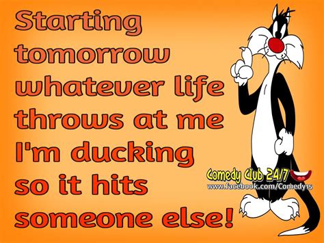 starting tomorrow  life throws     ducking   hits