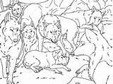 Pack Wolf Coloring Pages Anime Wolves Drawing Base Lineart Popular Library Getdrawings Coloringhome Comments sketch template