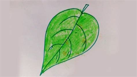 draw  green leaf easy drawing  kids kids drawing video youtube