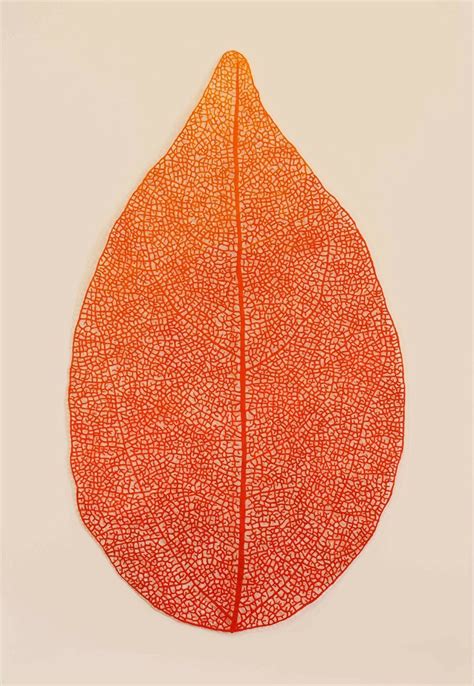 meredith woolnoughs embroideries mimic delicate forms  nature