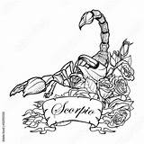 Scorpio Scorpion Sketch Croquis Astrologique Horoscope Isolement Zodiaco Signo Tatouage Tatuajes Getdrawings Signos sketch template