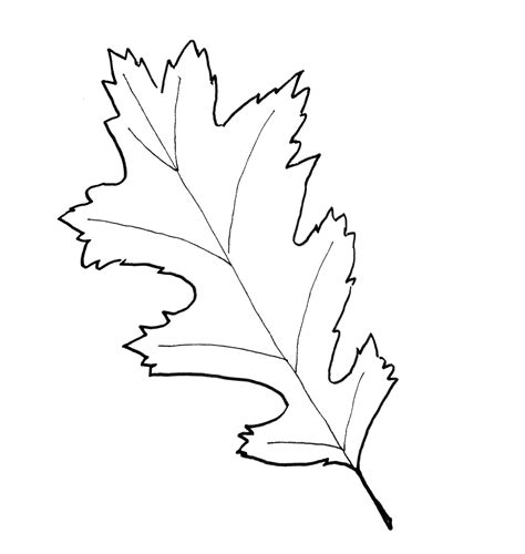 fall leaf pattern printables  paint  blog
