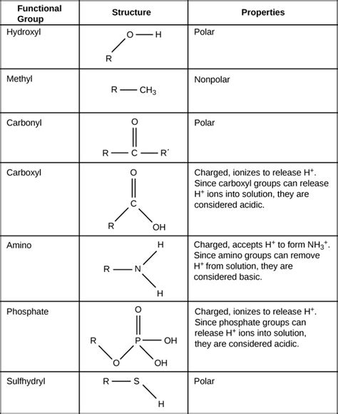 functional groups introduction  chemistry