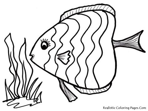 tropical fish coloring pages pinterest tropical fish coloring pages
