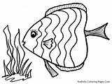 Fish Coloring Pages Color Rainbow Sea Tropical Cute sketch template