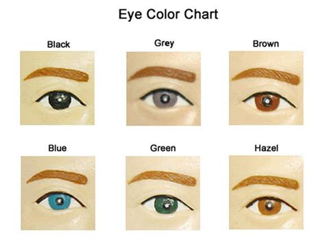 Eye Color Chart Eye Color Chart Eye Color Hair Color Chart