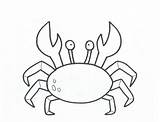 Crab Coloring Printable Outline Pages Template Drawing Krab Baby Kids Horseshoe Clipart Print Color Sebastian Colouring Simple Animals Sheets Dungeness sketch template