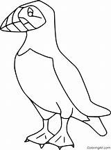 Puffin Pulcinella Bird Frailecillo Coloringall Uccelli Disegno Puffins Colorare Frailecillos Aves Designlooter sketch template