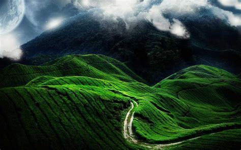 amazing green landscape hd hd nature wallpapers
