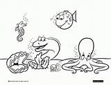 Coloring Underwater Scene Pages Clipart Colour Under Water Popular Library sketch template