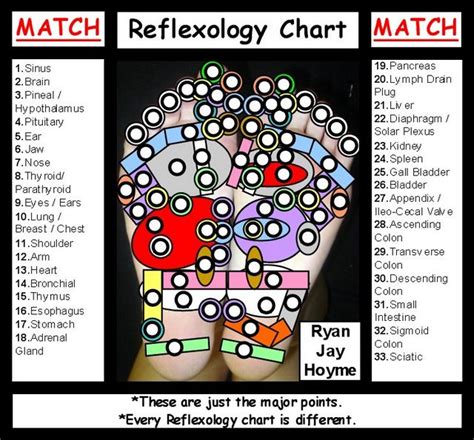 reflexology charts 4