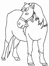 Horses Coloring Fun Kids Votes Paard Calendar Create sketch template