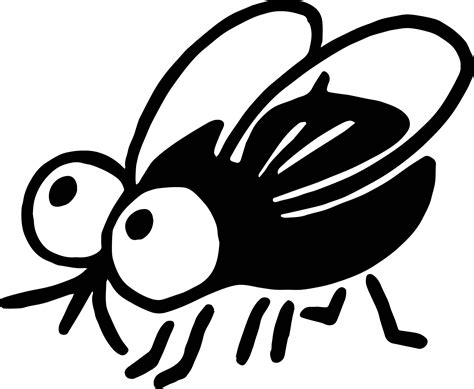 insect coloring page wecoloringpage  wecoloringpagecom