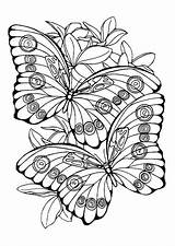 Adultes Papillons Bouquet Adulte Papillon Magique sketch template