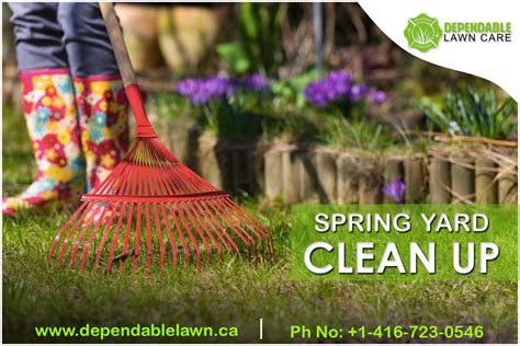 Dependable Lawn Care Provides Finest Spring Yard Clean Up In Oakville
