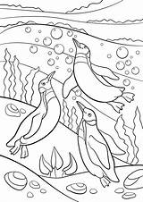 Coloring Pages Swimming Girl Penguins Cute Getdrawings Color Getcolorings sketch template