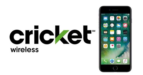 program activate  cricket cell phone smsinter