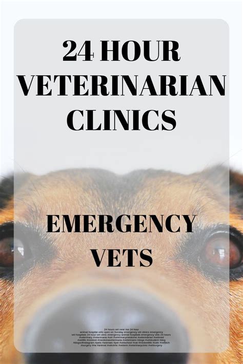hour veterinary clinic   pets
