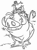 Timon Pumbaa Coloring Coloringsun sketch template