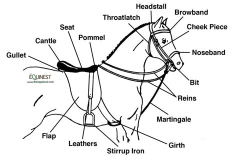 parts   saddle bridle english horse tack horse tack english horse