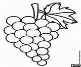 Uva Bos Druiven Lijntekening Vruchten Kleurplaten Racimo Frutas sketch template